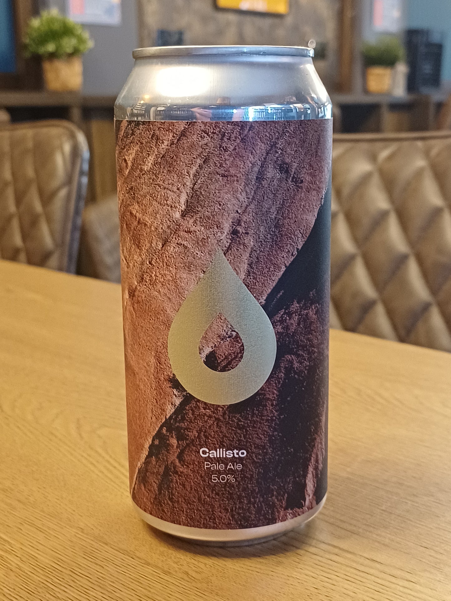 Pollys Callisto 5.0% 440ml Can